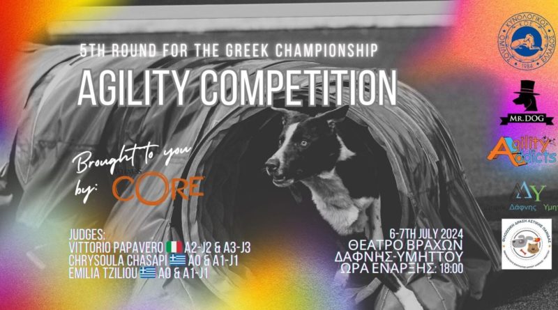 DOG AGILITY FESTIVAL | 6-7 Ιουλίου 2024 | Ώρα έναρξης: 18:00 | Θέατρο Βράχων Δάφνης-Υμηττού